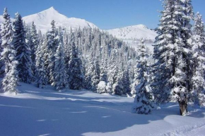 Picturesque Villa in Medebach near Ski Area